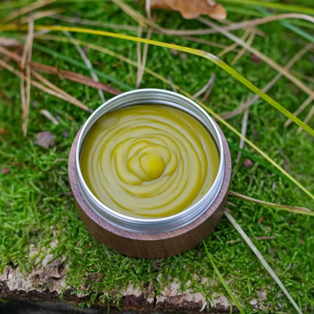 Olejanka Bieszczady | Tyma Herbs