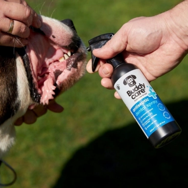 Spray antyseptyczny do zębów dla zwierząt domowych | Buddy Care